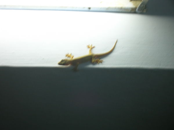 visitor to our dorm