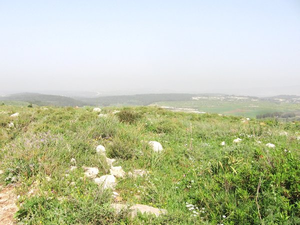 Israel 2010 906