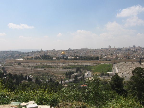 Israel 2010 480