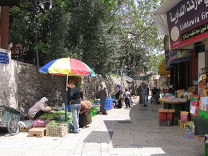 Israel 2010 813