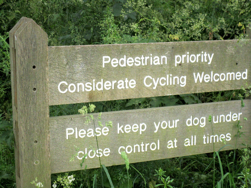 Considerate Cycling 