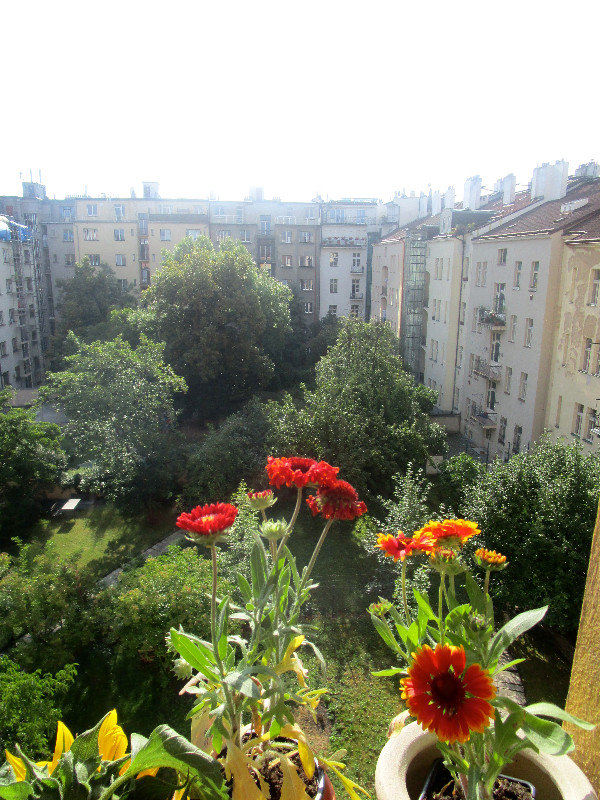 View from Misha's Apartment