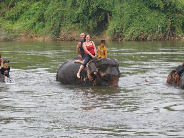 Bathing Elephants