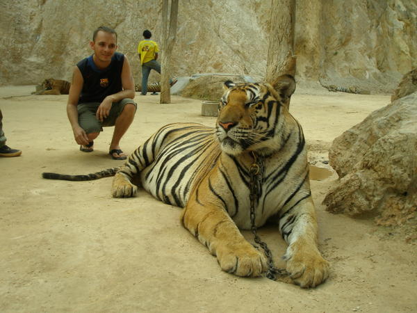Me and a tiger