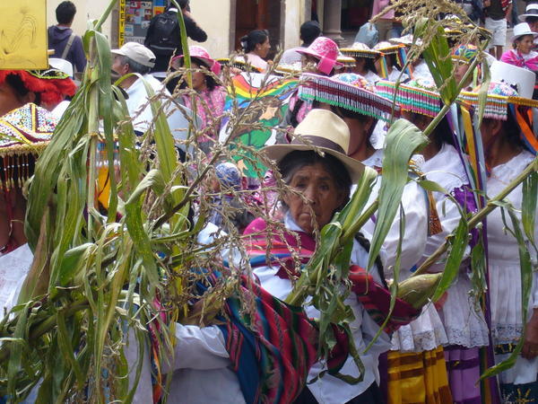 Cusco 8 Marzo II
