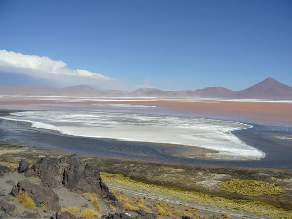 Laguna colorada