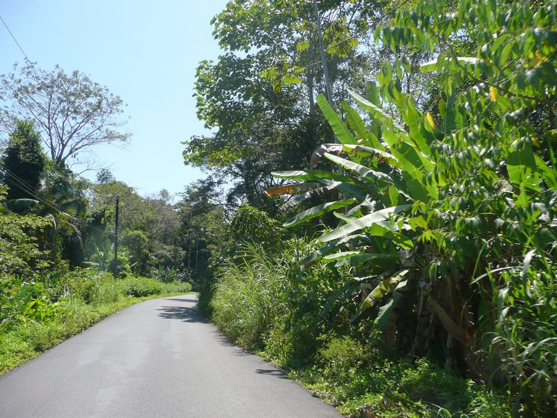 Carretera a Manzanillo
