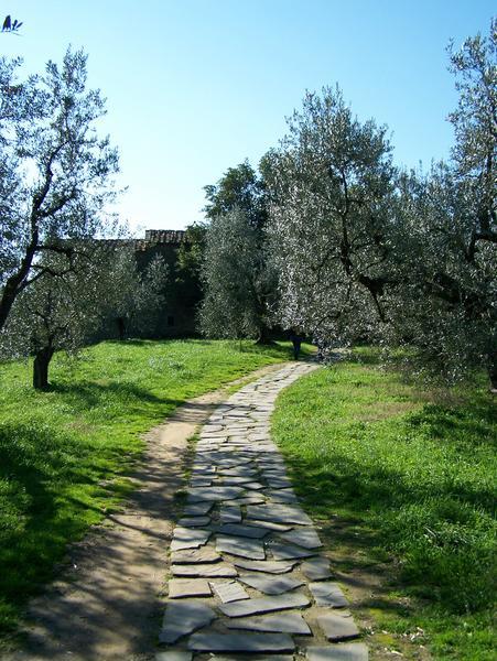 Path to Leonardo's house