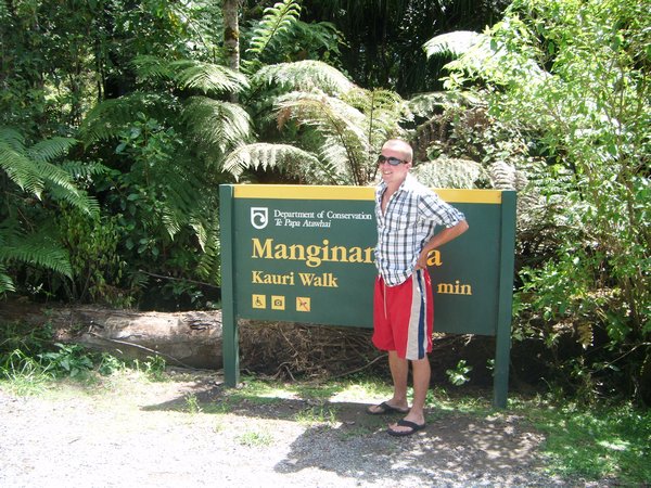 Kauri Forest Park