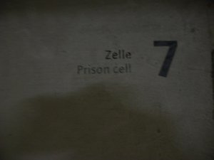 cell 7