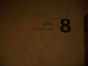 cell 8