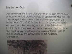 luther oak explained