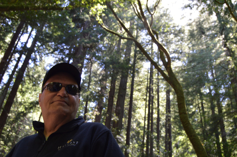 Steve in the redwoods