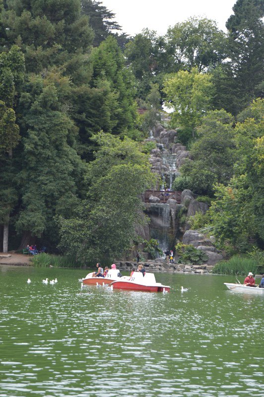 Waterfall and paddle boats on Stow Lake--Golden Gate Park