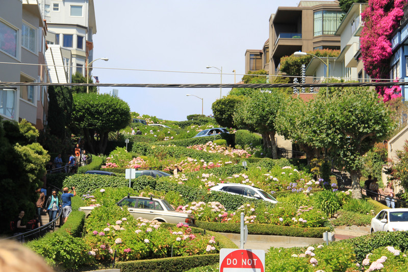 Looking back at cars snaking down Lombard Street hill
