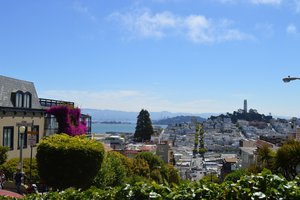 View coming down Lombard Street Hill--looking toward Coit Tower