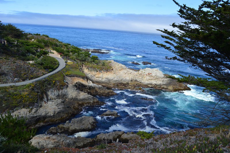 View of Hwy 1 winding down the coast