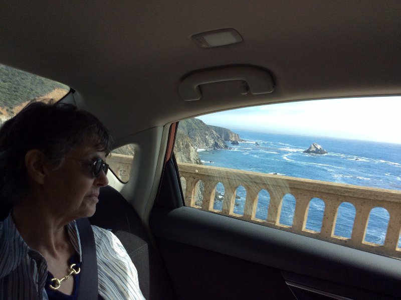 Mom admiring the view out the window