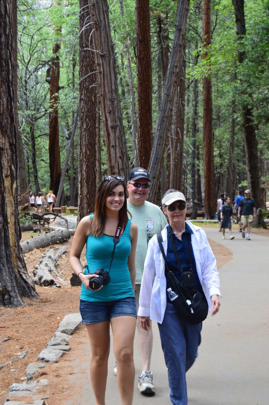 Hiking through Redwoods on Yosemite Falls trail