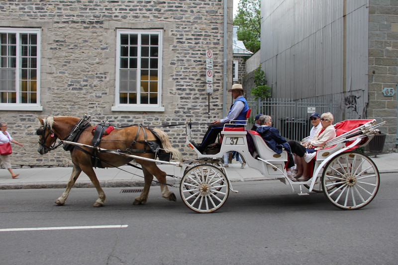Horse & carriage--Quebec City