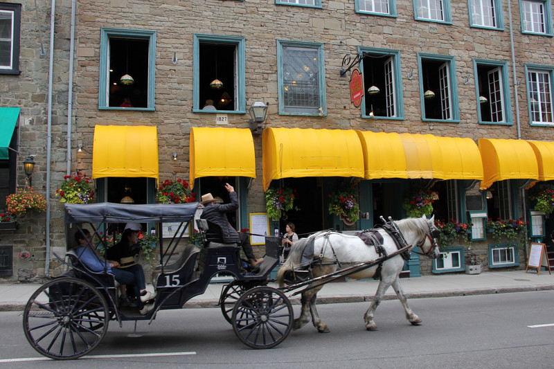 Horse & carriage--Quebec City