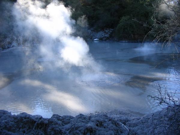 Bubbling　Mudpools　in　Rotorua