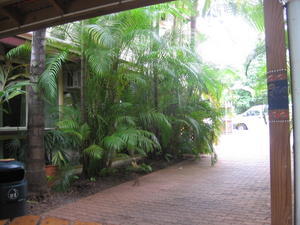 Tropic Days Hostel