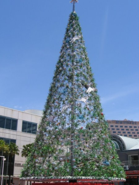 Harbour Christmas Tree!