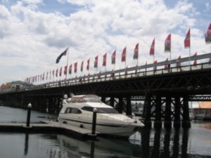 bridge crossing Darling Harbour