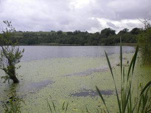 Lake at Blarney Property