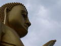 Reflecting Buddha!