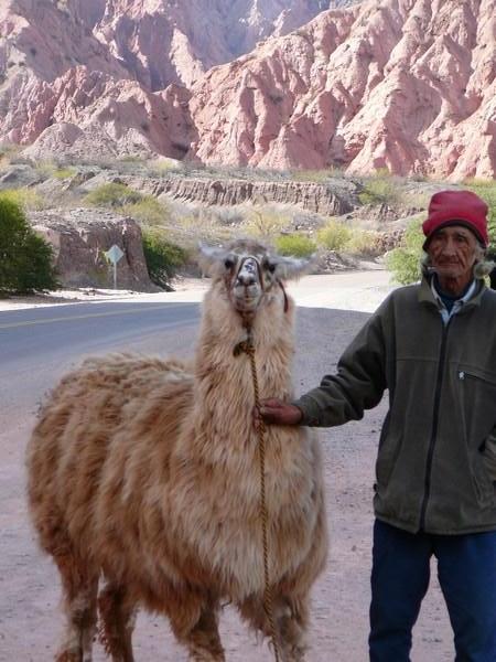 Like owner like Llama?