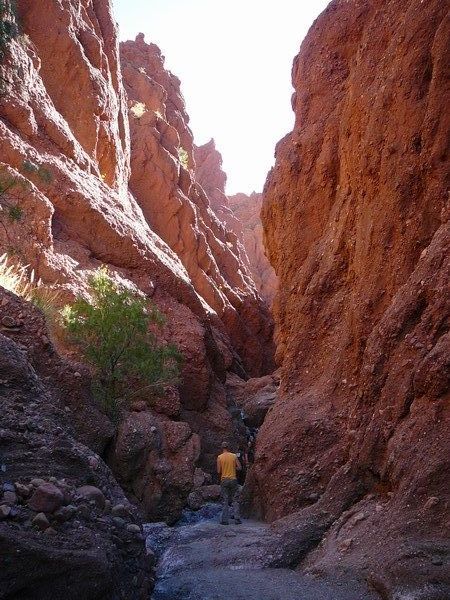 One of Tupiza'a many canyons