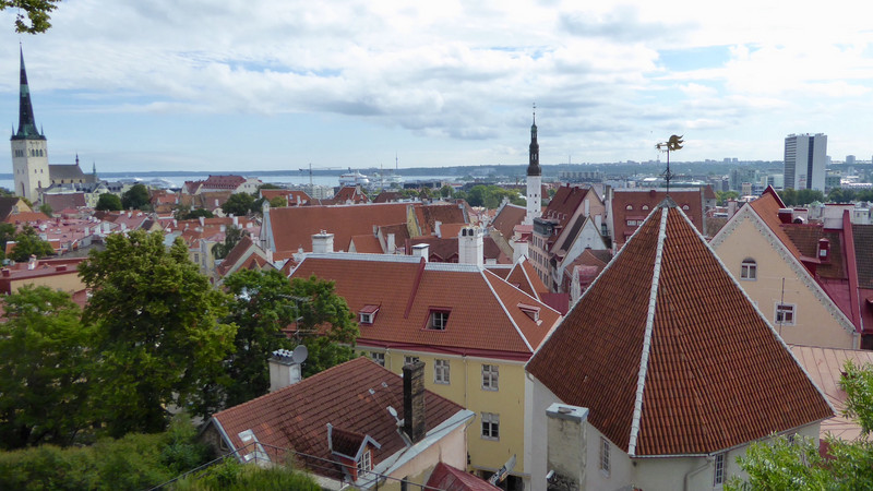 les toits de Tallinn