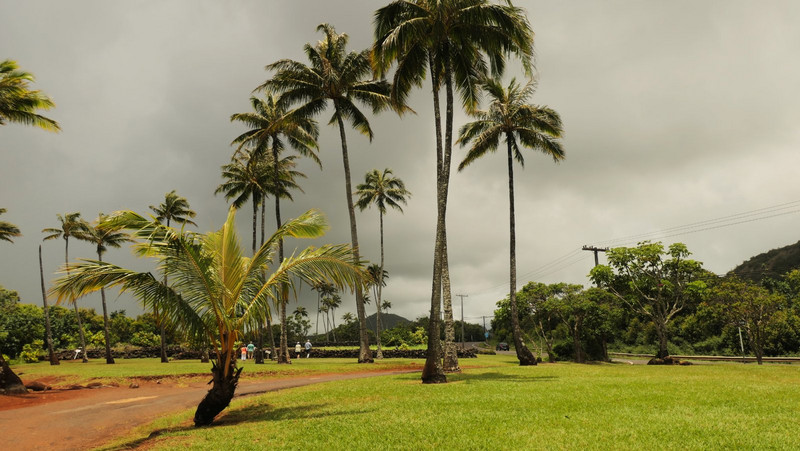 vue de Kauai