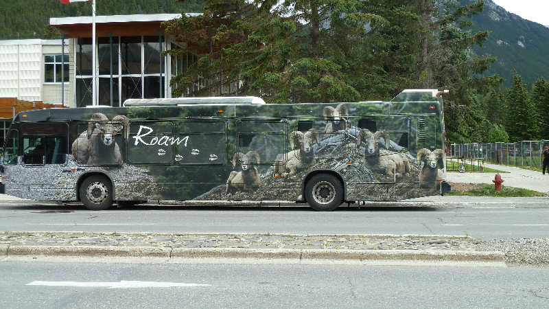 autobus municipal de Banff