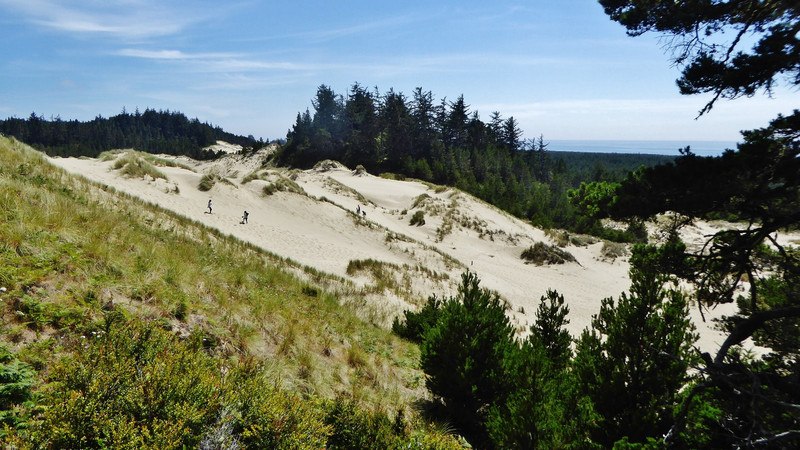 les dunes