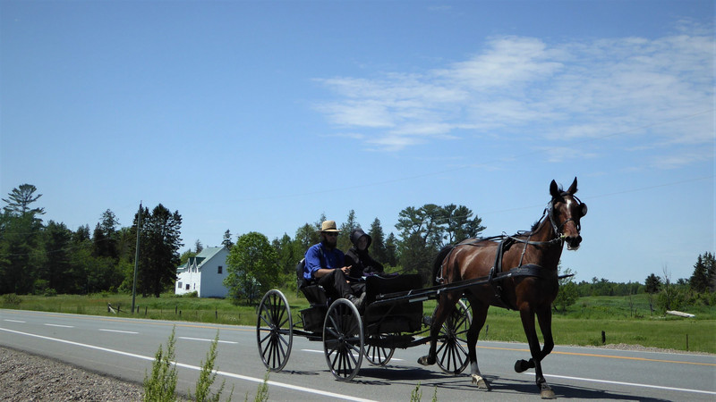 les Amish sur la route