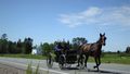 les Amish sur la route