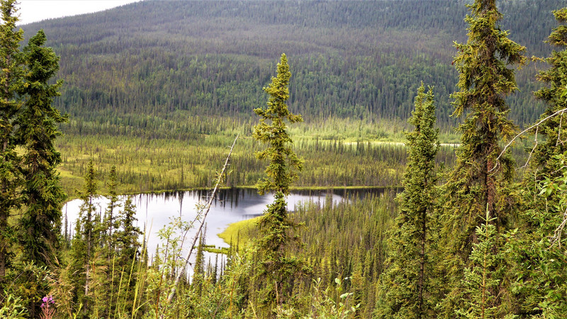 image du Yukon