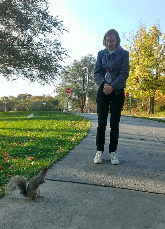 Un des nombreux écureuils du parc 