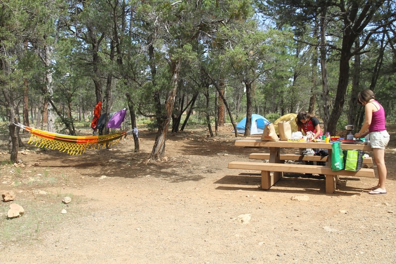 Notre emplacement dans le camping du parc (à 500m du Grand Canyon)
