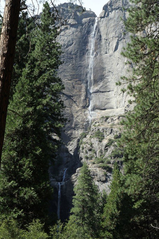 Yosemite Falls, au milieu du parc