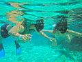 Snorkeling on Paradise Island