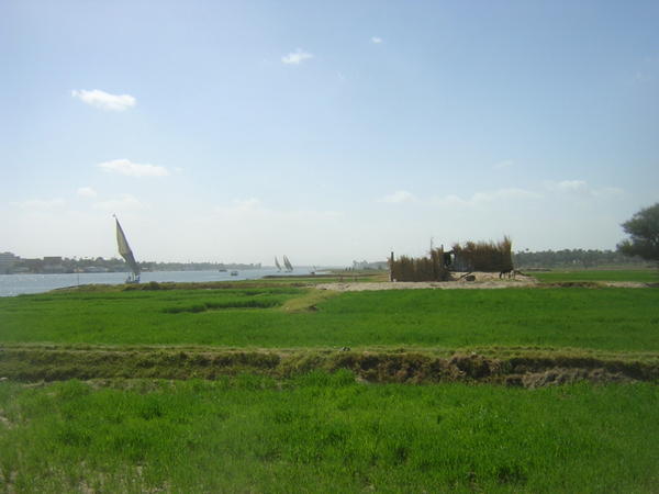view on the nile