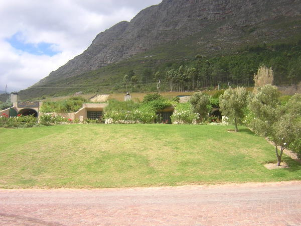 restaurant and winery just outside Franschhoek
