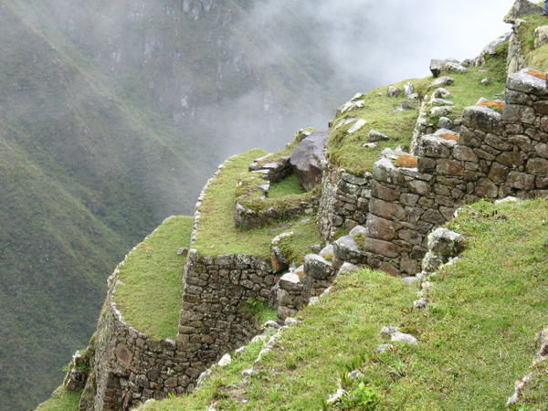 Macchu Picchu terraces
