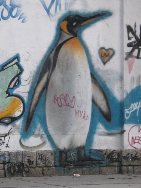 why a penquin