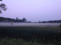 Morning fog while running