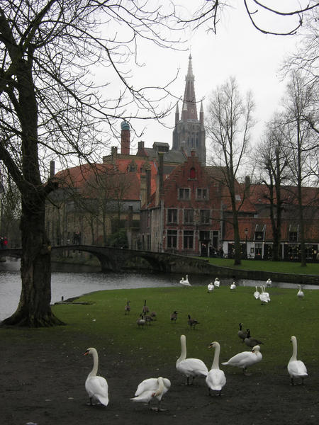 Picturesque Brugge